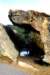 img_2800_small.jpg