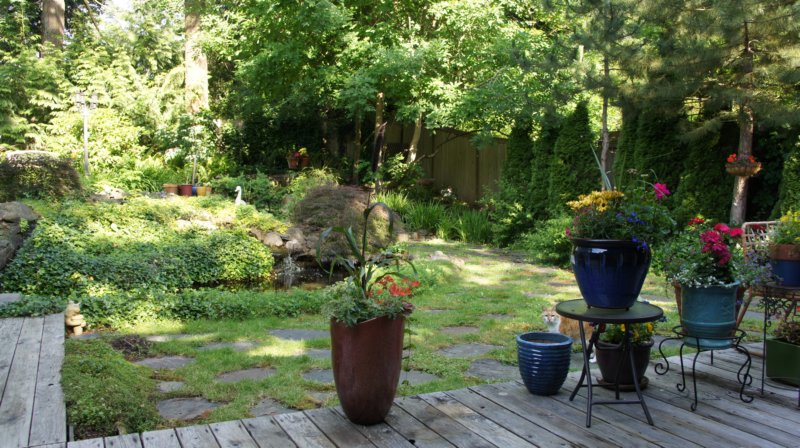 dsc00348.jpg