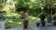 dsc00348_small.jpg