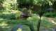 dsc00349_small.jpg