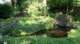 dsc00350_small.jpg