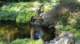 dsc00351_small.jpg