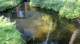 dsc00353_small.jpg