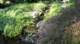 dsc00354_small.jpg