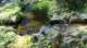 dsc00355_small.jpg