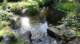 dsc00356_small.jpg