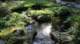 dsc00357_small.jpg