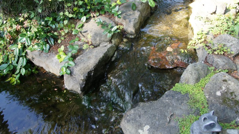 dsc00358.jpg