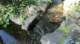 dsc00358_small.jpg