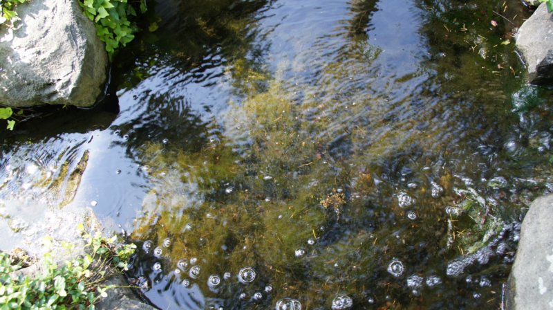 dsc00359.jpg