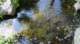 dsc00359_small.jpg