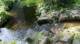 dsc00360_small.jpg