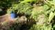 dsc00361_small.jpg