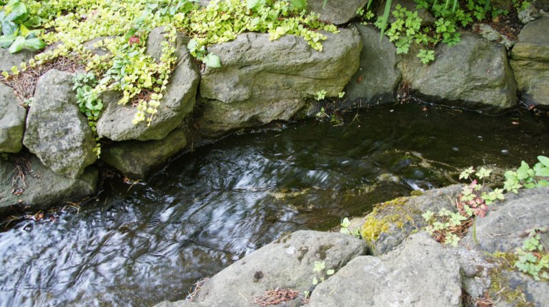 dsc00362.jpg