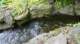 dsc00362_small.jpg