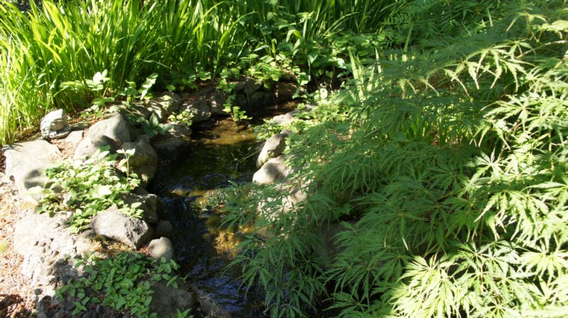 dsc00363.jpg