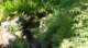 dsc00363_small.jpg