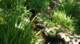 dsc00364_small.jpg