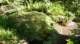 dsc00365_small.jpg