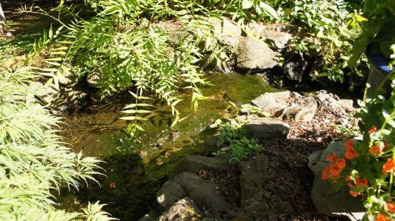 dsc00366.jpg