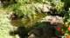 dsc00366_small.jpg