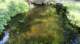 dsc00368_small.jpg