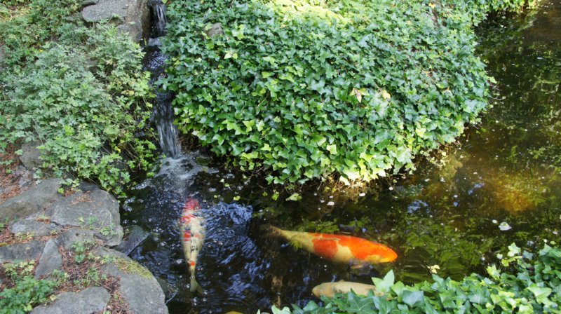 dsc00369.jpg