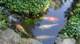 dsc00370_small.jpg