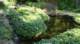 dsc00372_small.jpg