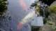 dsc00374_small.jpg