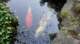 dsc00376_small.jpg