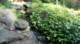 dsc00377_small.jpg