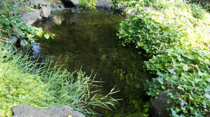 dsc00378.jpg