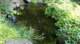 dsc00378_small.jpg