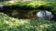 dsc00379_small.jpg