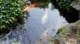 dsc00380_small.jpg