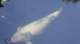 dsc00382_small.jpg