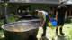 dsc00385_small.jpg