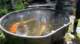 dsc00387_small.jpg