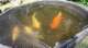 dsc00390_small.jpg