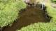 dsc00393_small.jpg