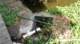 dsc00394_small.jpg