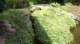 dsc00395_small.jpg