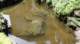 dsc00396_small.jpg