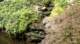dsc00397_small.jpg