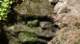 dsc00398_small.jpg