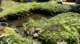 dsc00400_small.jpg