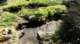 dsc00402_small.jpg