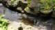 dsc00403_small.jpg