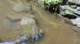 dsc00404_small.jpg